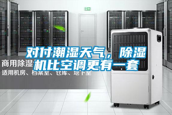 對(duì)付潮濕天氣，除濕機(jī)比空調(diào)更有一套