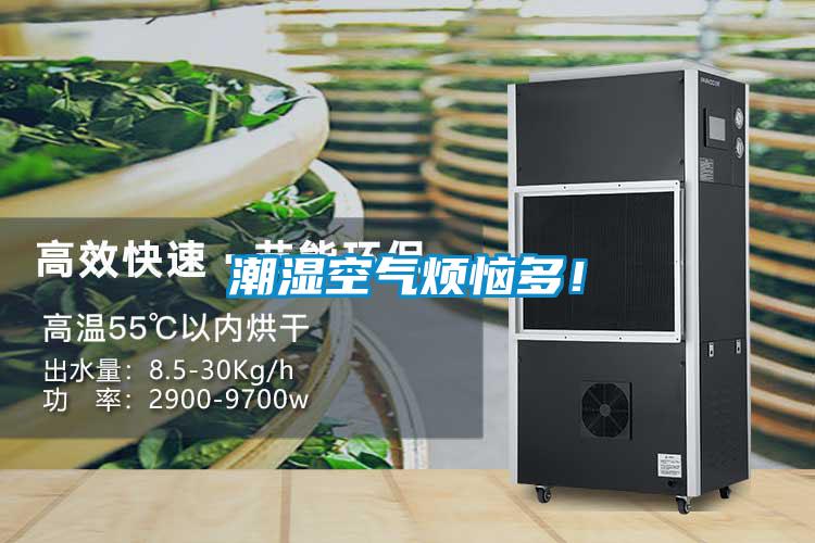 潮濕空氣煩惱多！