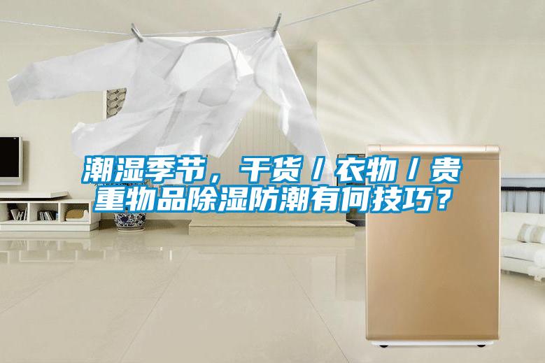 潮濕季節(jié)，干貨／衣物／貴重物品除濕防潮有何技巧？