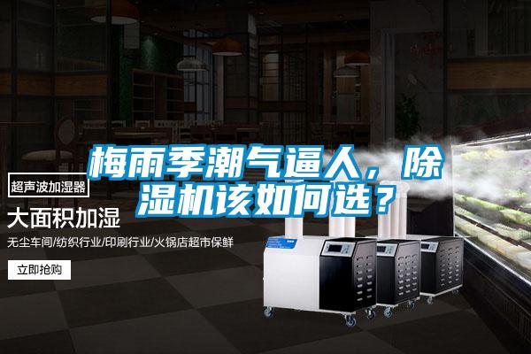 梅雨季潮氣逼人，除濕機(jī)該如何選？