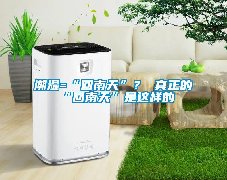 潮濕=“回南天”？ 真正的“回南天”是這樣的