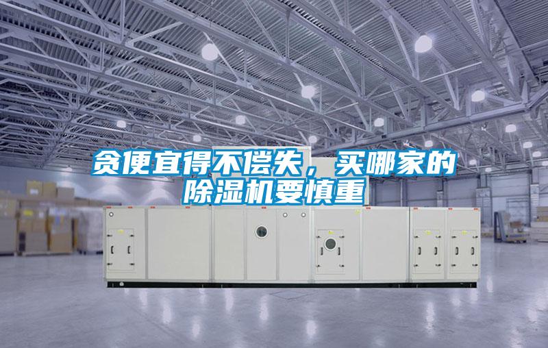 貪便宜得不償失，買哪家的除濕機(jī)要慎重
