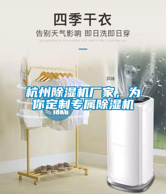 杭州除濕機(jī)廠家，為你定制專屬除濕機(jī)