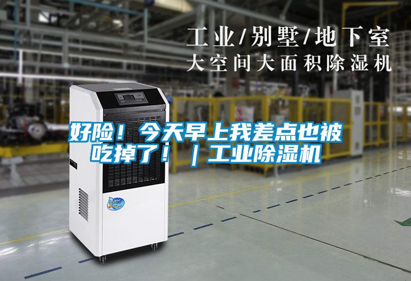 好險！今天早上我差點也被吃掉了！｜工業(yè)除濕機