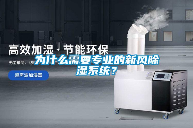 為什么需要專業(yè)的新風除濕系統(tǒng)？