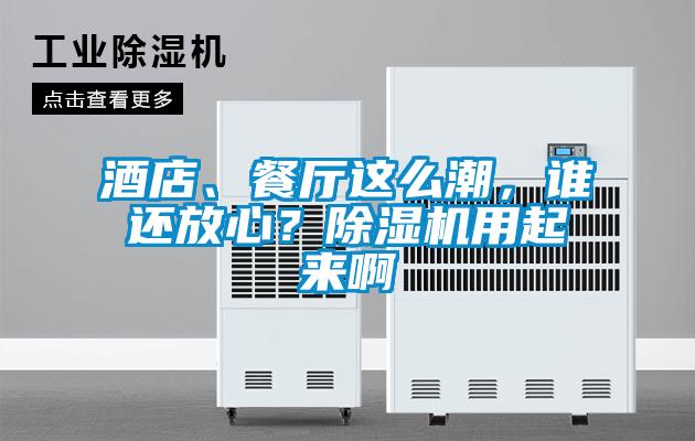 酒店、餐廳這么潮，誰(shuí)還放心？除濕機(jī)用起來(lái)啊