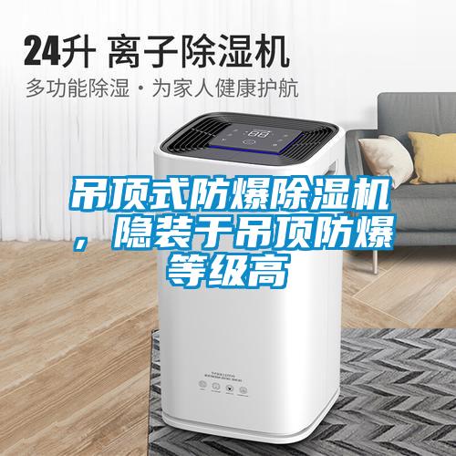 吊頂式防爆除濕機(jī)，隱裝于吊頂防爆等級高