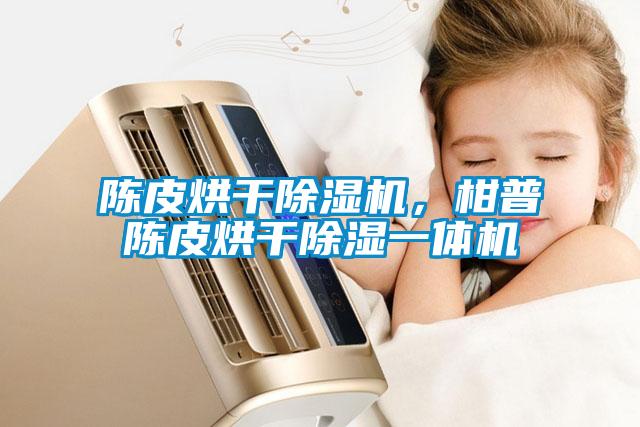 陳皮烘干除濕機，柑普陳皮烘干除濕一體機