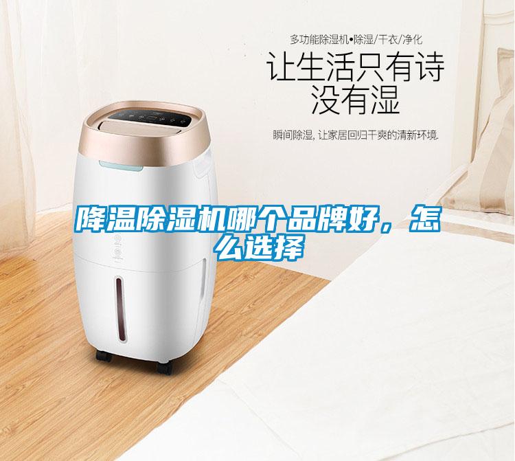降溫除濕機(jī)哪個(gè)品牌好，怎么選擇