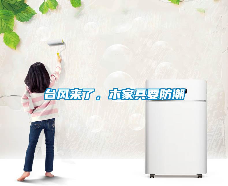 臺(tái)風(fēng)來了，木家具要防潮