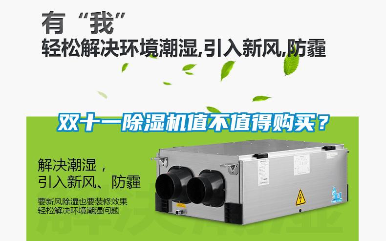 雙十一除濕機值不值得購買？