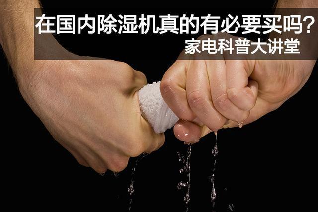 潮濕悶熱天氣，謹(jǐn)防狗狗中暑！