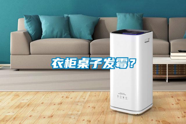 衣柜桌子發(fā)霉？