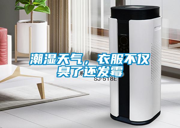 潮濕天氣，衣服不僅臭了還發(fā)霉