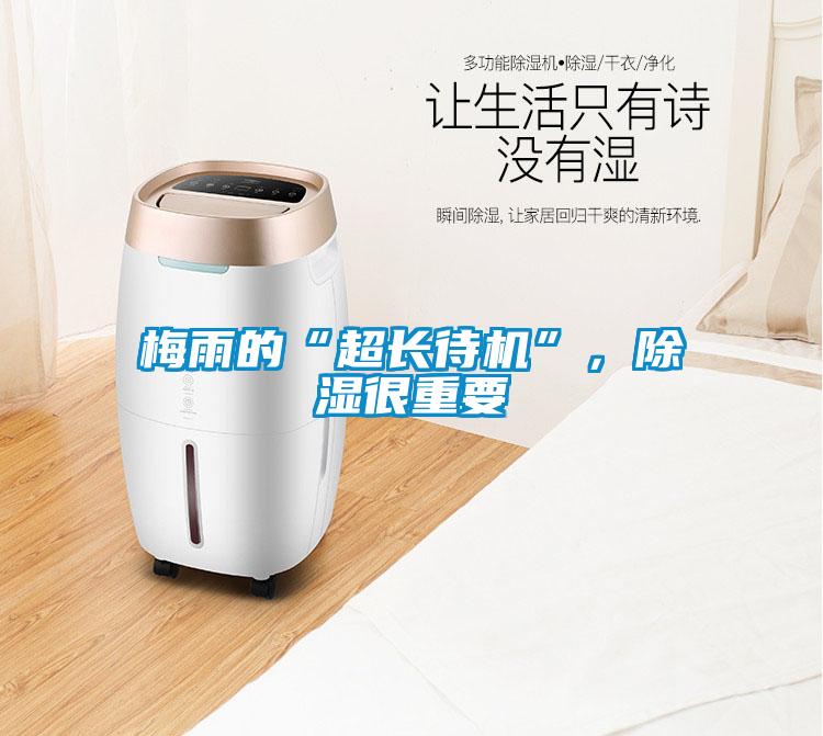 梅雨的“超長待機(jī)”，除濕很重要