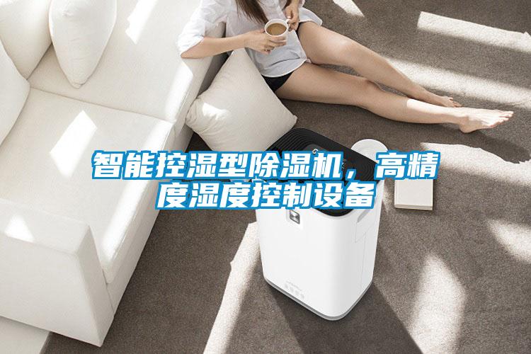 智能控濕型除濕機(jī)，高精度濕度控制設(shè)備