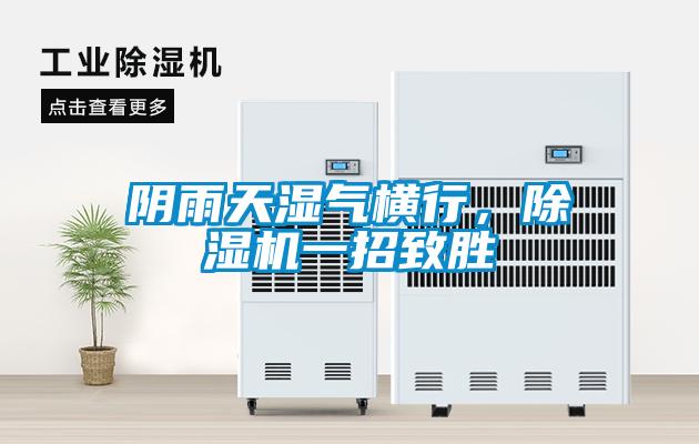 陰雨天濕氣橫行，除濕機(jī)一招致勝
