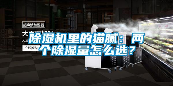 除濕機(jī)里的貓膩：兩個(gè)除濕量怎么選？