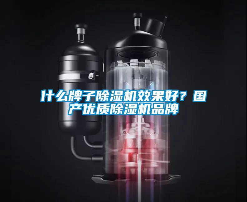 什么牌子除濕機效果好？國產(chǎn)優(yōu)質(zhì)除濕機品牌
