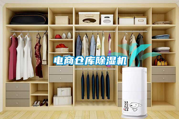 電商倉(cāng)庫除濕機(jī)