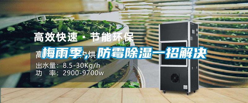梅雨季，防霉除濕一招解決