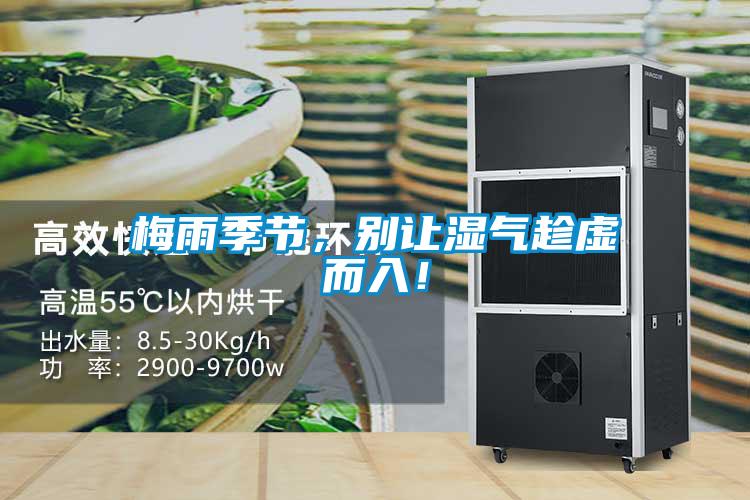 梅雨季節(jié)，別讓濕氣趁虛而入！