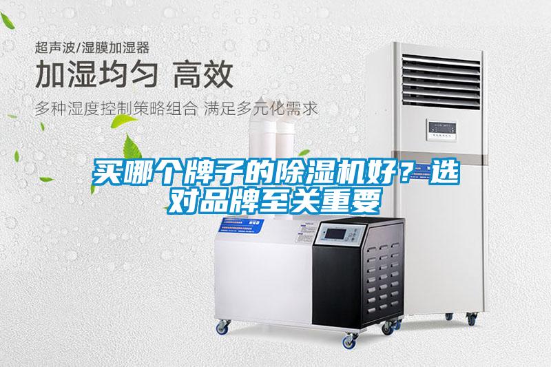 買哪個(gè)牌子的除濕機(jī)好？選對(duì)品牌至關(guān)重要