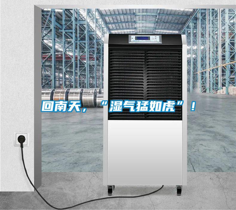 回南天，“濕氣猛如虎”！