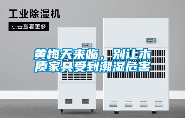 黃梅天來臨，別讓木質(zhì)家具受到潮濕危害