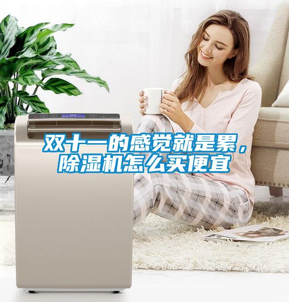 雙十一的感覺(jué)就是累，除濕機(jī)怎么買(mǎi)便宜