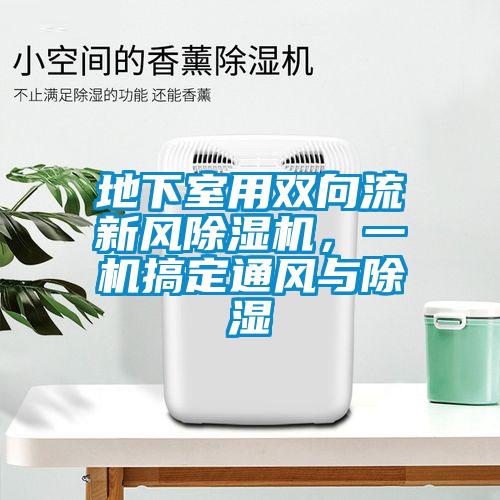 地下室用雙向流新風除濕機，一機搞定通風與除濕