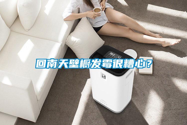 回南天壁櫥發(fā)霉很糟心？