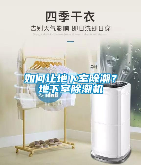 如何讓地下室除潮？地下室除潮機