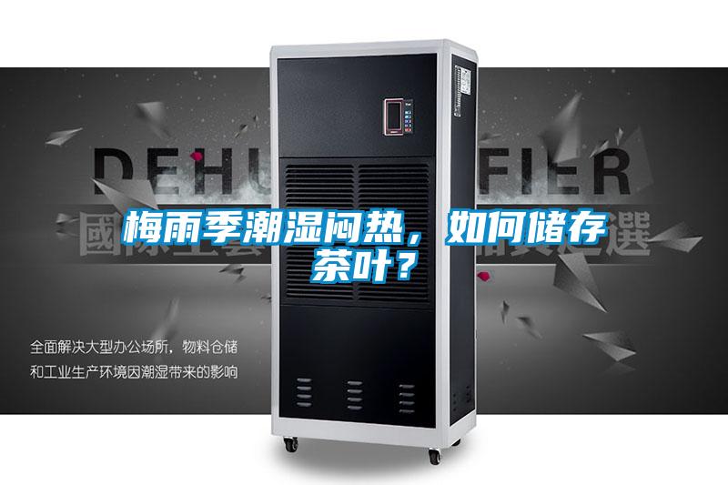 梅雨季潮濕悶熱，如何儲存茶葉？