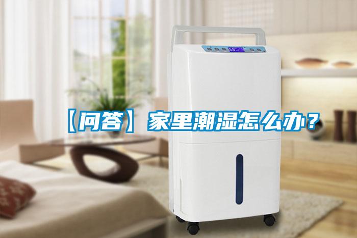 【問答】家里潮濕怎么辦？