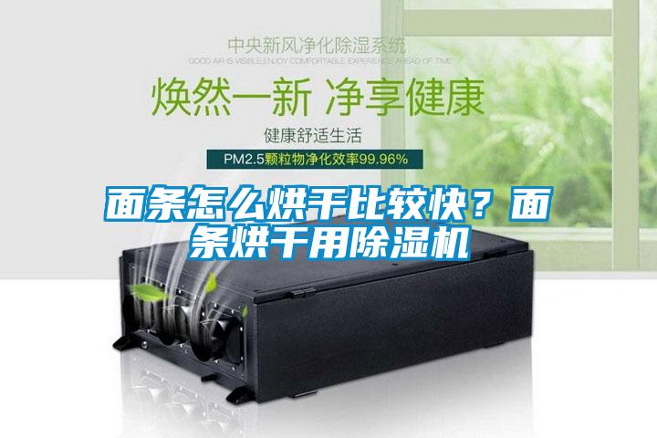 面條怎么烘干比較快？面條烘干用除濕機