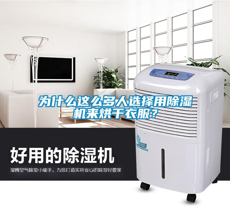 為什么這么多人選擇用除濕機來烘干衣服？