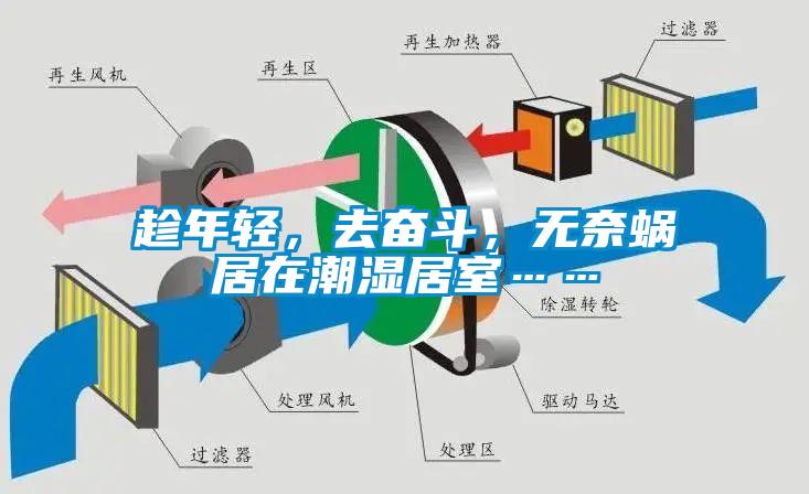 趁年輕，去奮斗，無奈蝸居在潮濕居室……