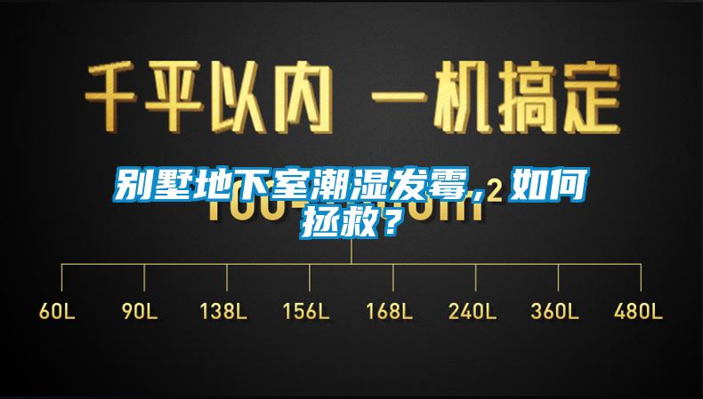 別墅地下室潮濕發(fā)霉，如何拯救？