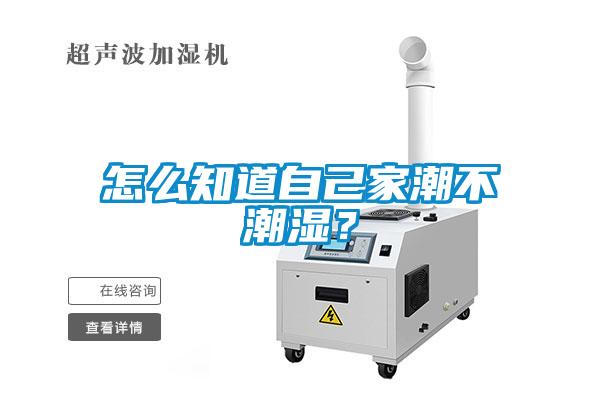 怎么知道自己家潮不潮濕？