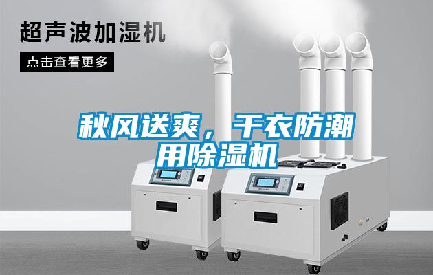 秋風送爽，干衣防潮用除濕機
