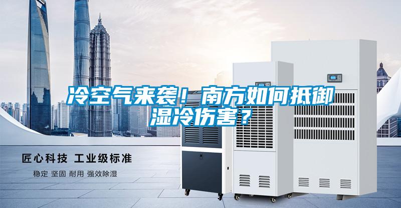 冷空氣來襲！南方如何抵御濕冷傷害？
