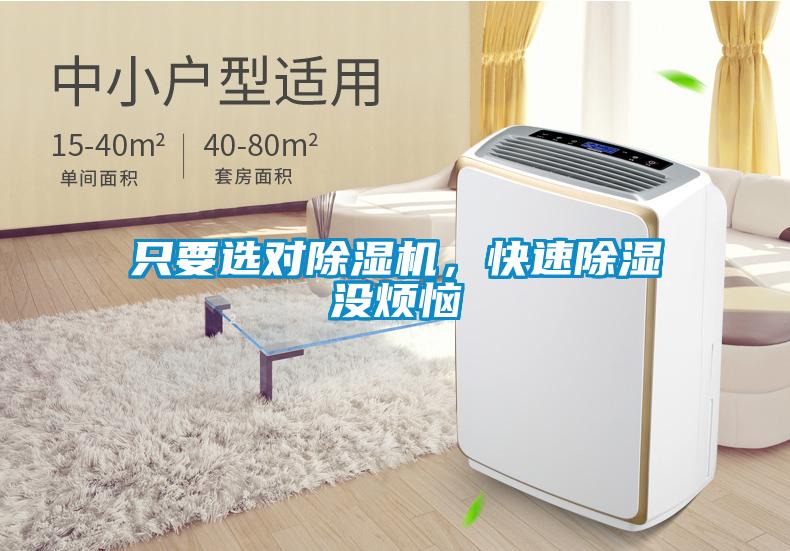 只要選對除濕機，快速除濕沒煩惱