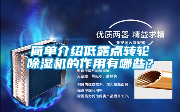 簡單介紹低露點轉(zhuǎn)輪除濕機的作用有哪些？