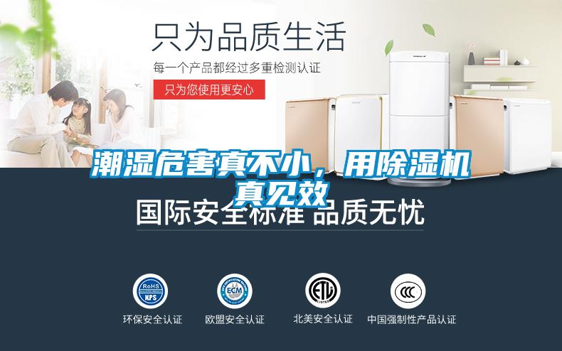 潮濕危害真不小，用除濕機真見效