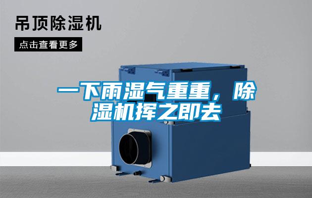 一下雨濕氣重重，除濕機(jī)揮之即去