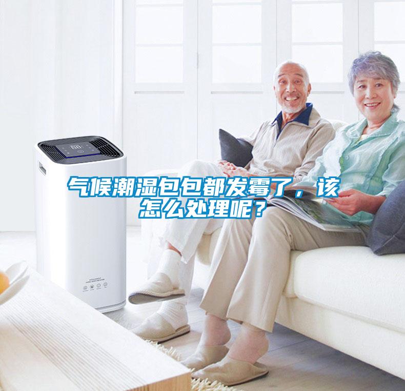 氣候潮濕包包都發(fā)霉了，該怎么處理呢？