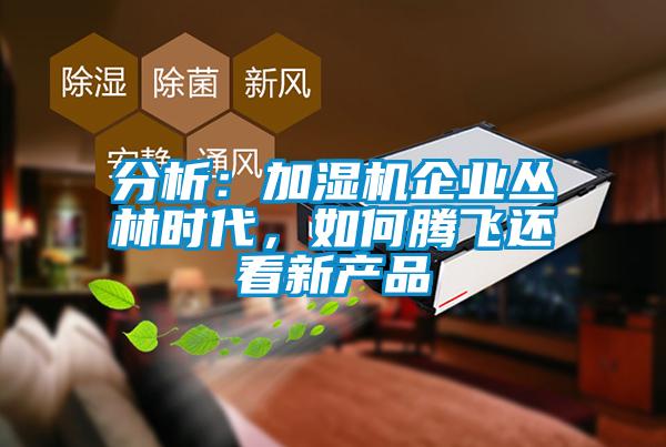 分析：加濕機(jī)企業(yè)叢林時(shí)代，如何騰飛還看新產(chǎn)品
