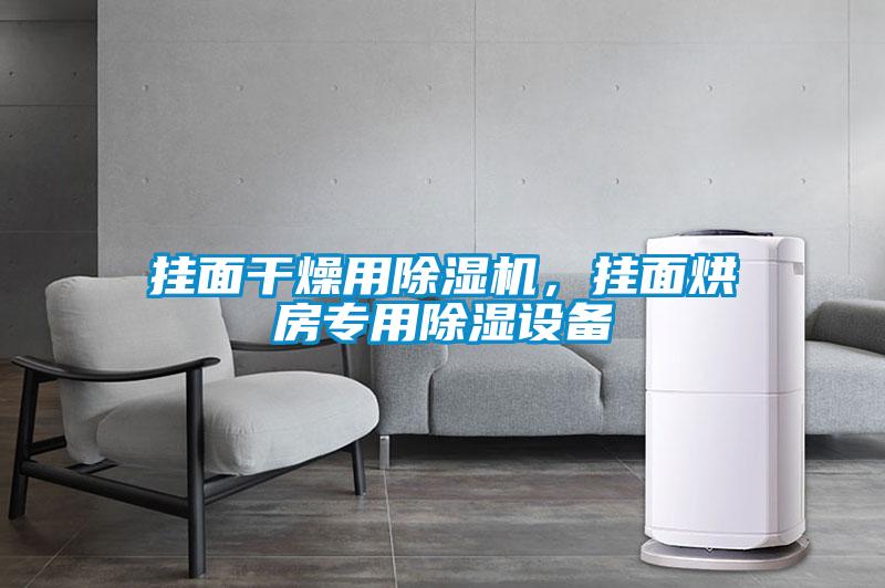 掛面干燥用除濕機(jī)，掛面烘房專用除濕設(shè)備