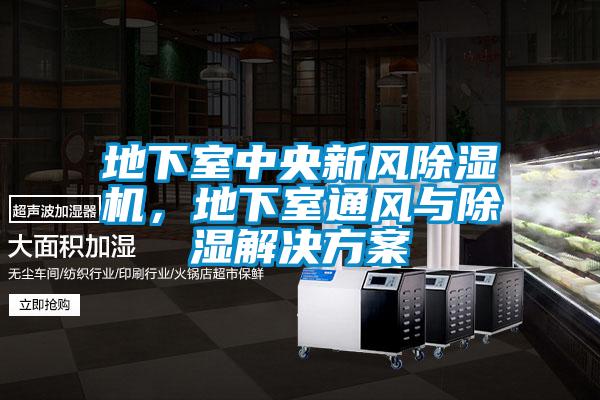 地下室中央新風(fēng)除濕機(jī)，地下室通風(fēng)與除濕解決方案
